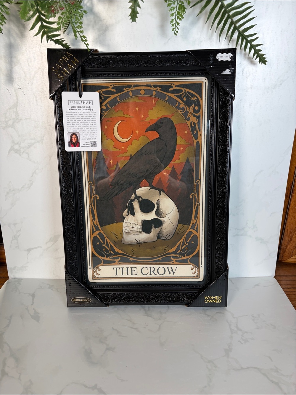 Sapna Shah The Crow Framed Wall Art Raven Skull Tarot Gothic Halloween 12x18 New